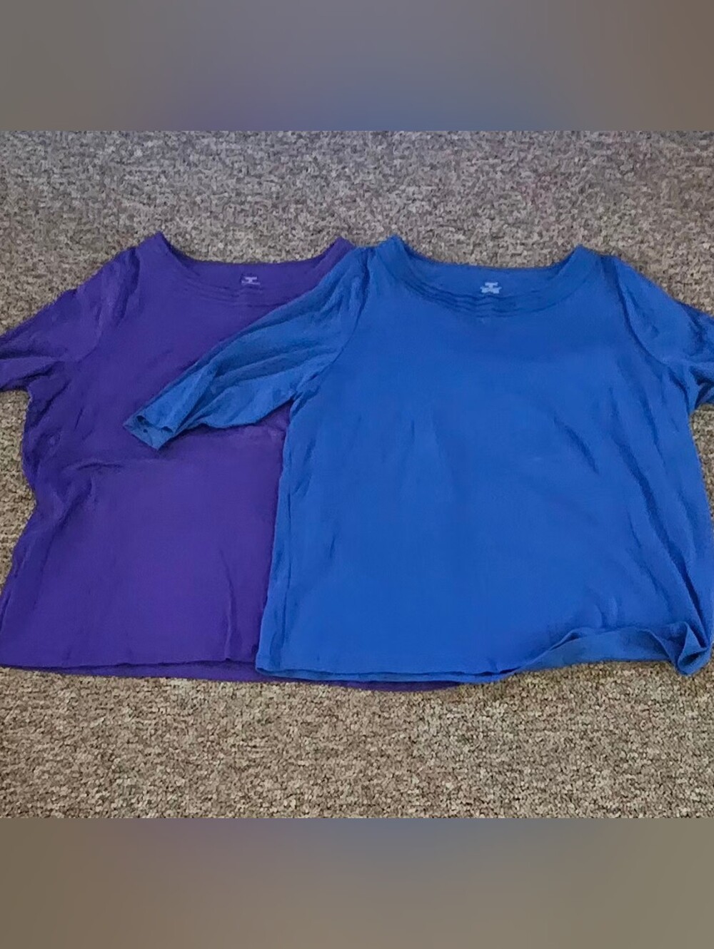 CJ Banks Blue and Purple Scoop Neck Tops - Duo
